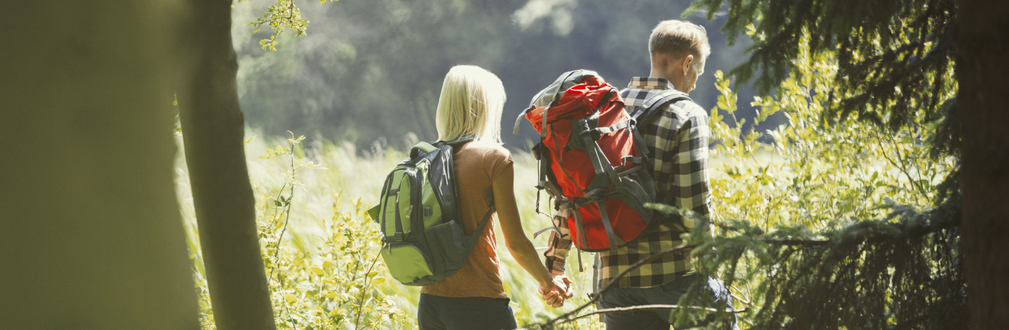 Couple With Backpacks Holding Hands Hiking In Sunny Woods