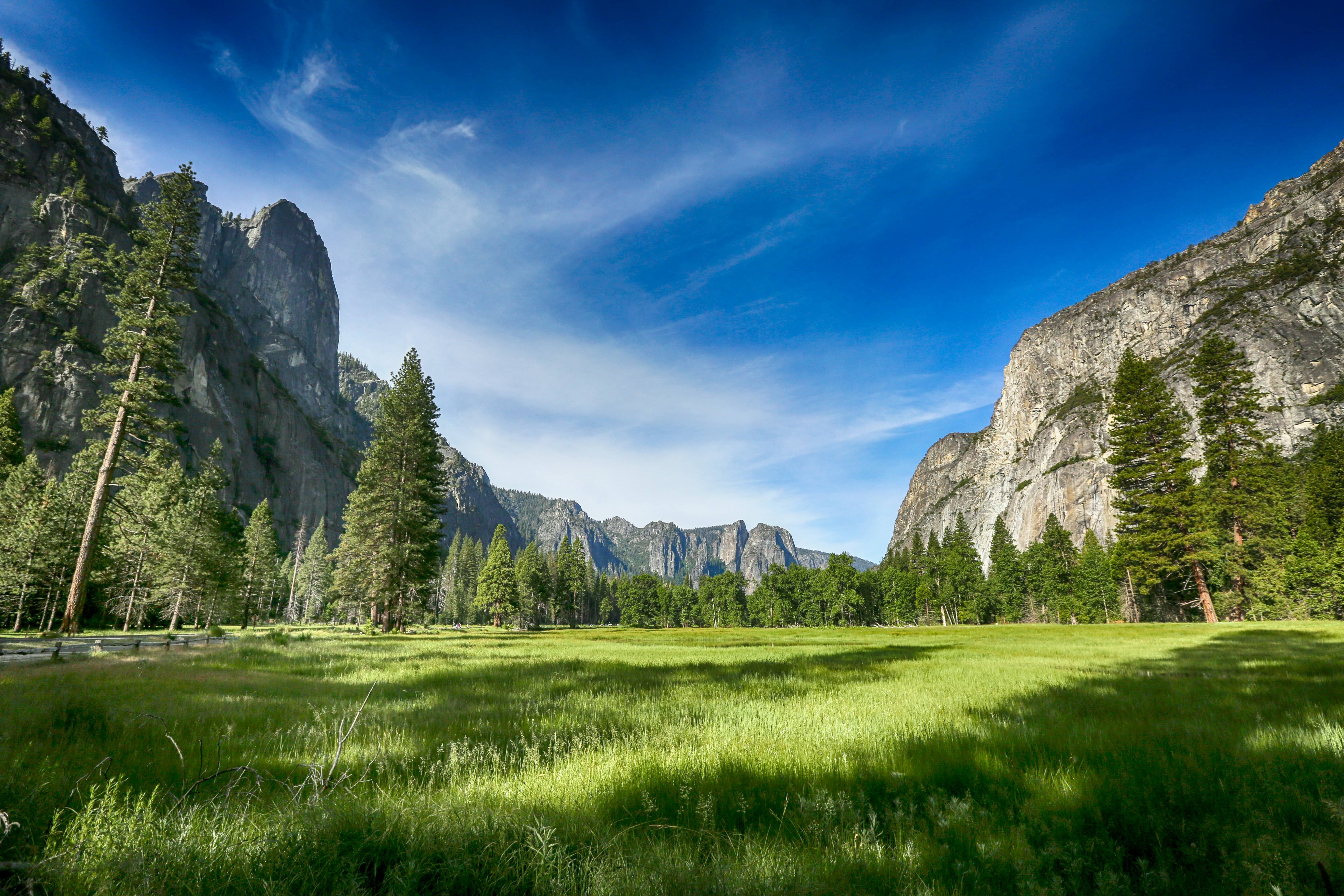 mick-haupt-hb09G5FZG5k-unsplash (2)