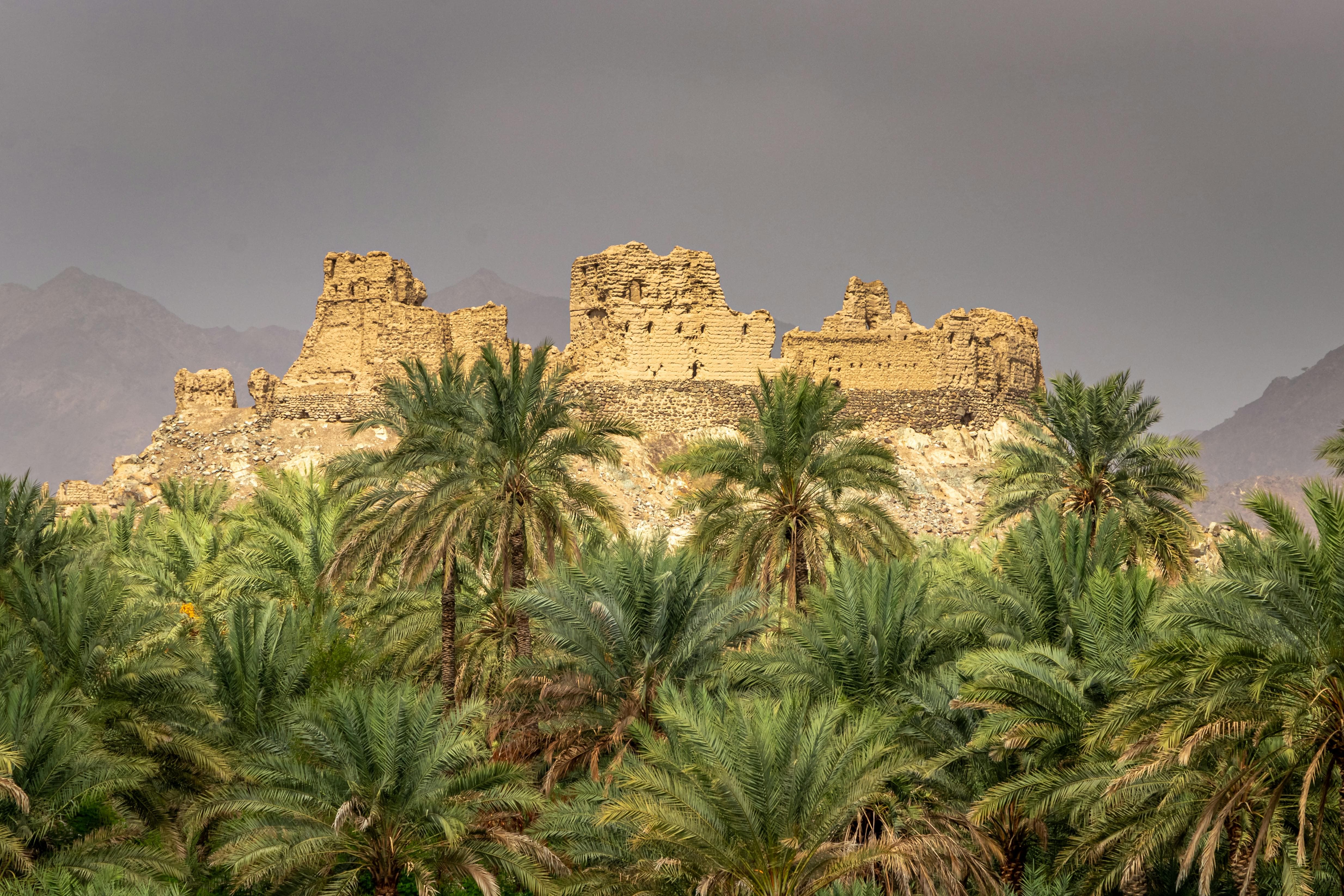 pexels-ahmed-al-khamisi-2531057-9674297 (1)