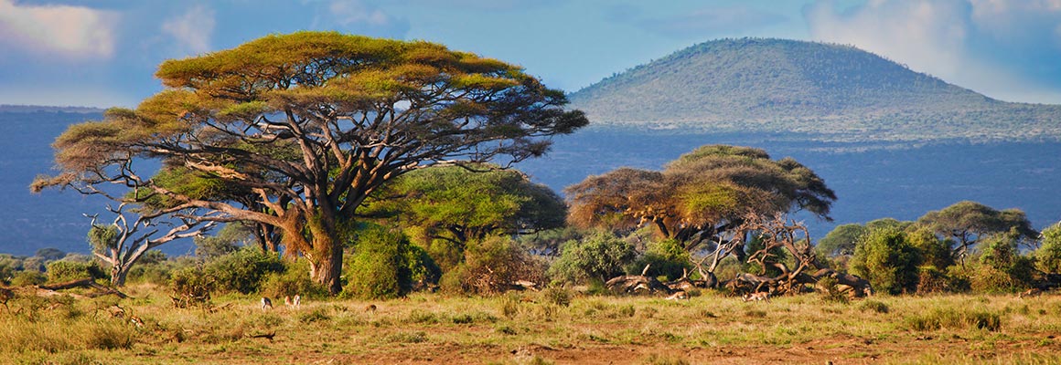 Europcar Zimbabwe Car Rental Europcar Zimbabwe Car Rental